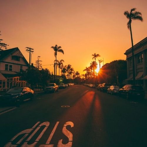 Buy EDM Ghost Production track - Trapper