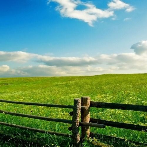 Buy EDM Ghost Production track - Confidence