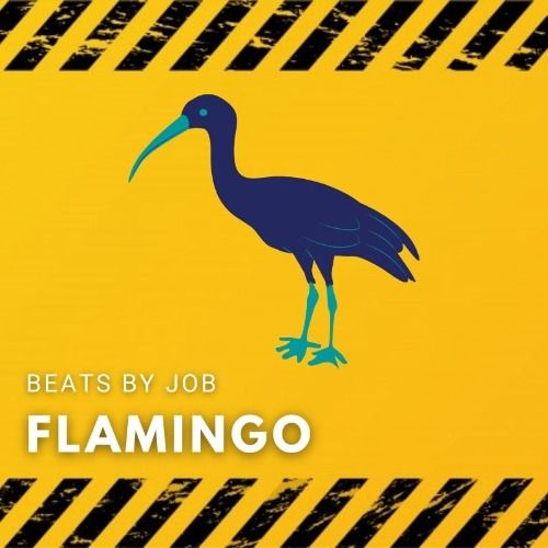 Buy EDM Ghost Production track - Job - Flamingo