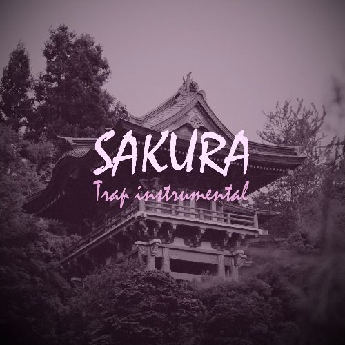 Buy EDM Ghost Production track - Sakura
