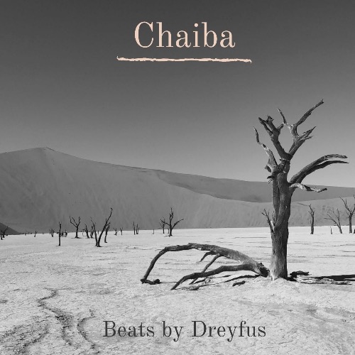 Buy EDM Ghost Production track - Chaiba