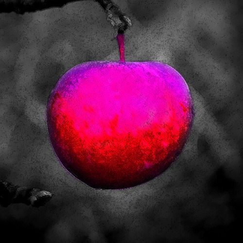 Buy EDM Ghost Production track - Purple Apple