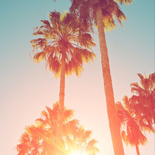 Buy EDM Ghost Production track - Chose