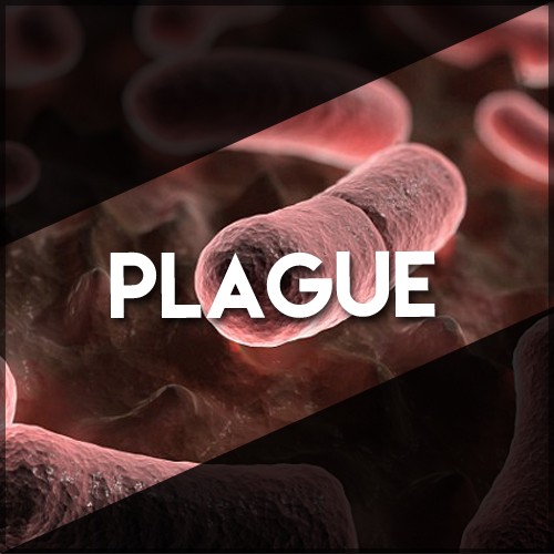Buy EDM Ghost Production track - Plague