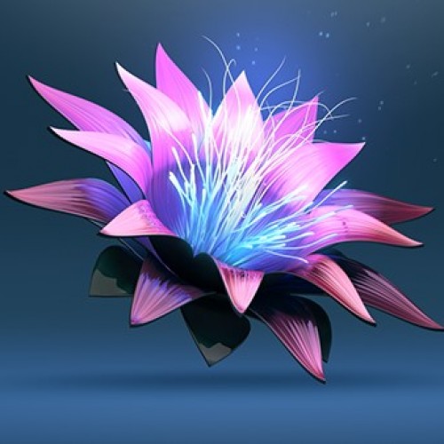 Buy EDM Ghost Production track - Bloom