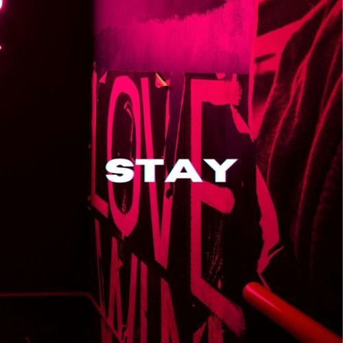 Buy EDM Ghost Production track - Stay