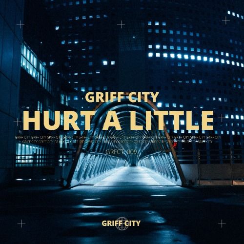 Buy EDM Ghost Production track - Hurt A Little