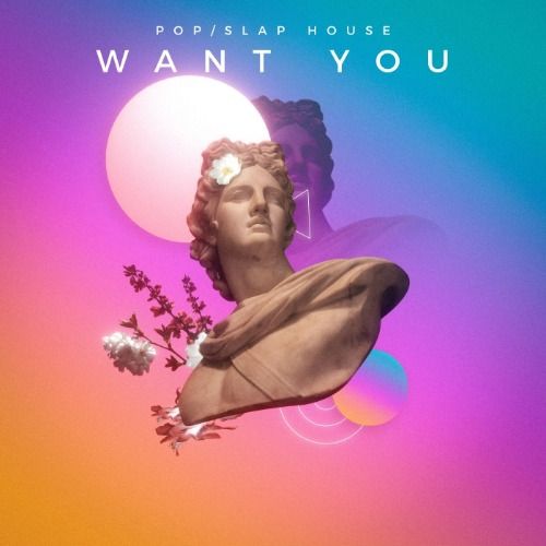 Buy EDM Ghost Production track - Want You