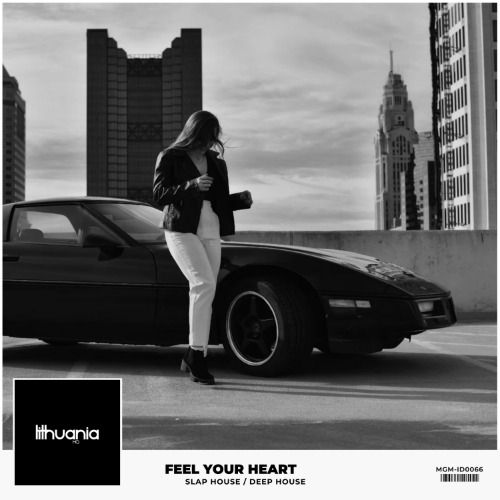 Buy EDM Ghost Production track - Feel Your Heart