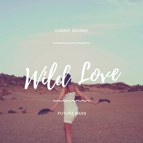 Buy EDM Ghost Production track - Wild Love