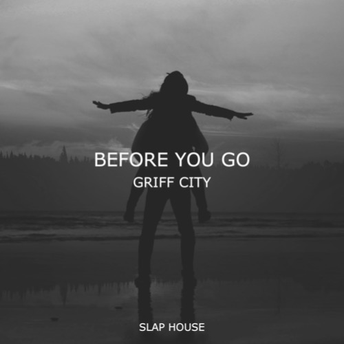 Buy EDM Ghost Production track - Before You Go