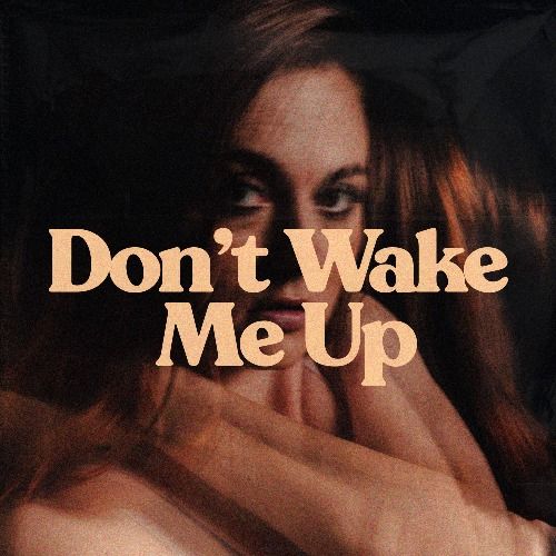 Buy EDM Ghost Production track - Don't Wake Me Up