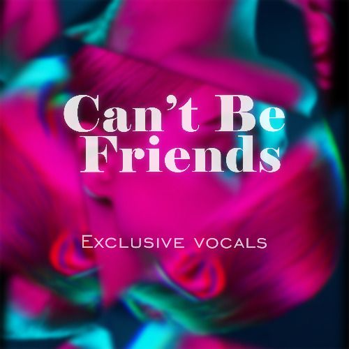 Buy EDM Ghost Production track - Can't be Friends