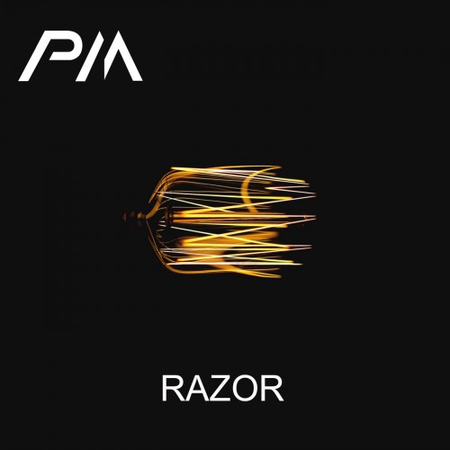 Buy EDM Ghost Production track - Razor