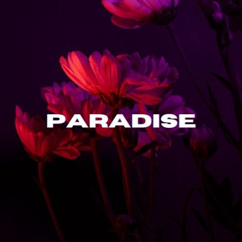 Buy EDM Ghost Production track - Paradise
