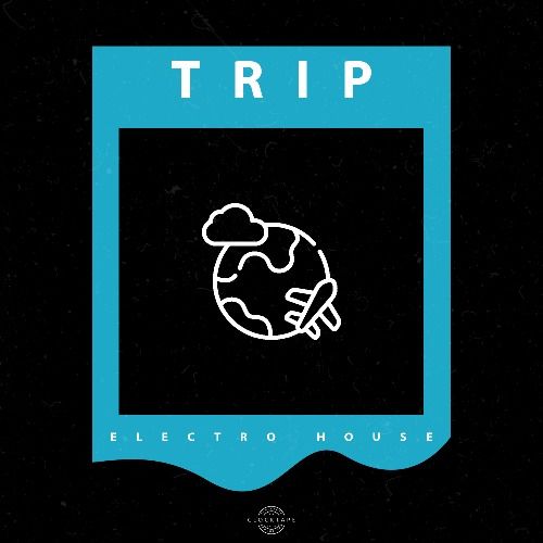 Buy EDM Ghost Production track - Trip