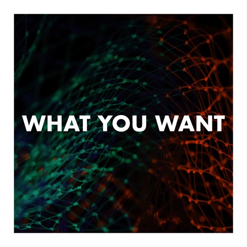 Buy EDM Ghost Production track - What You Want
