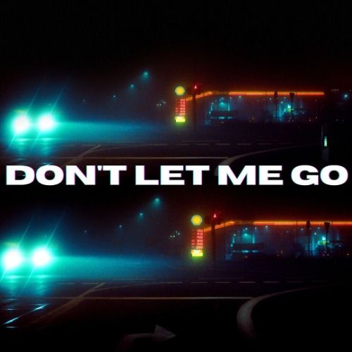 Buy EDM Ghost Production track - Don't Let Me Go