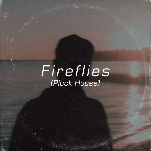 Buy EDM Ghost Production track - Fireflies