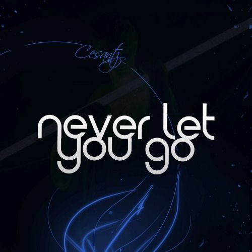 Buy EDM Ghost Production track - Never Let You Go