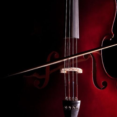 Buy EDM Ghost Production track - Cello Vocal