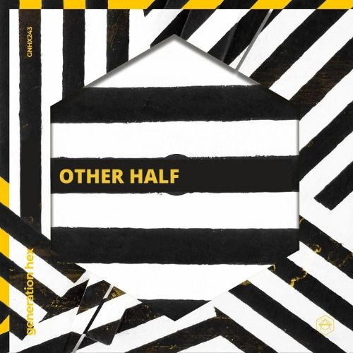 Buy EDM Ghost Production track - Other Half