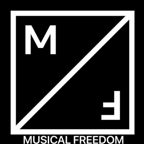 Buy EDM Ghost Production track - Going Crazy