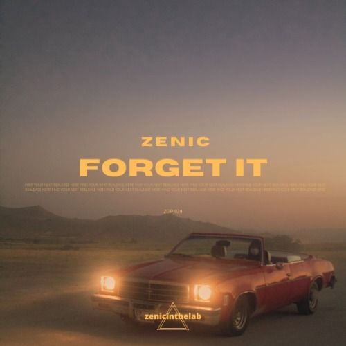 Buy EDM Ghost Production track - Forget It