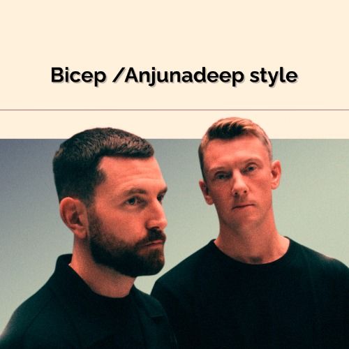 Buy EDM Ghost Production track - Bicep Style