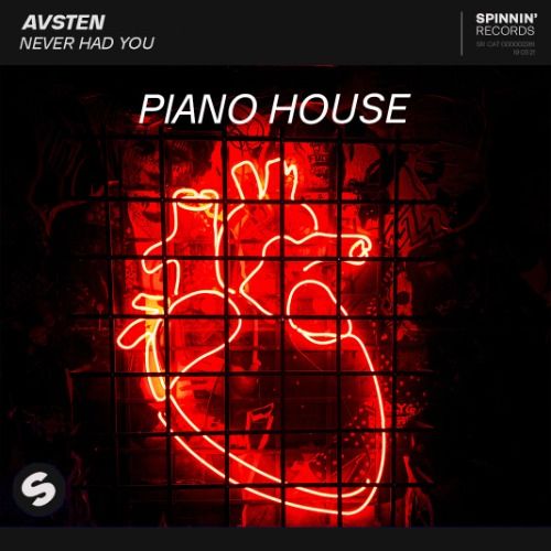 Buy EDM Ghost Production track - Never Had You