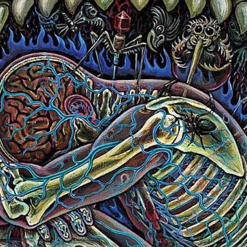 Buy EDM Ghost Production track - Absence