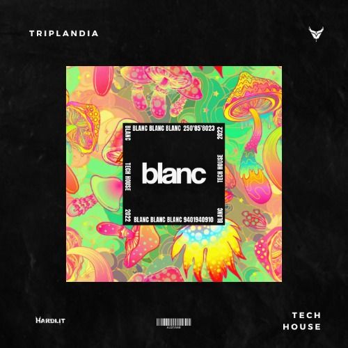 Buy EDM Ghost Production track - Triplandia