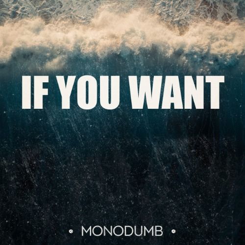 Buy EDM Ghost Production track - If You Want