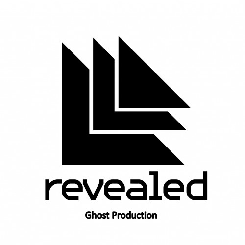 Buy EDM Ghost Production track - The fire