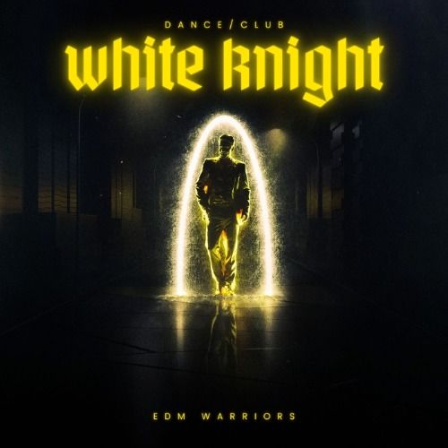 Buy EDM Ghost Production track - White Knight