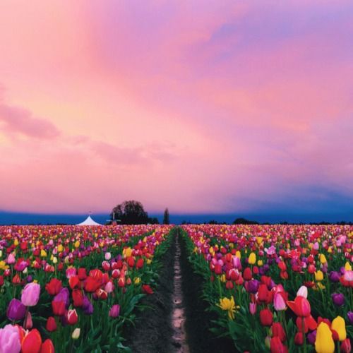 Buy EDM Ghost Production track - Sweet