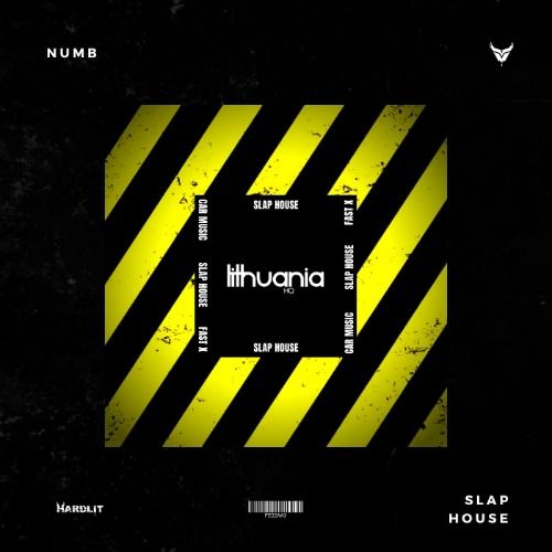 Buy EDM Ghost Production track - Numb