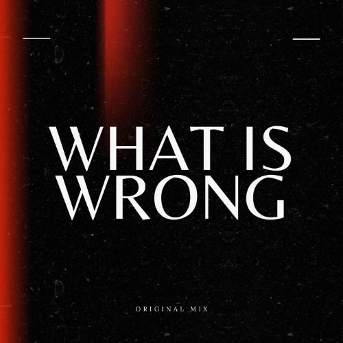 Buy EDM Ghost Production track - What Is Wrong