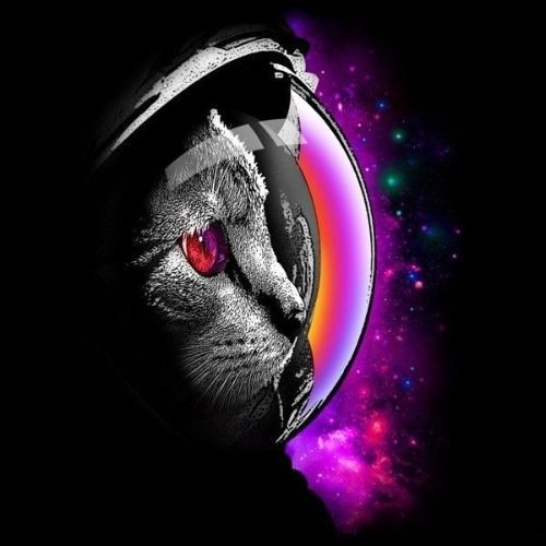 Buy EDM Ghost Production track - Astronaut