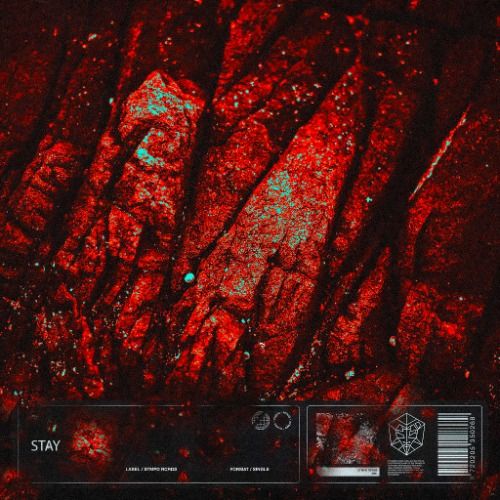 Buy EDM Ghost Production track - Stay