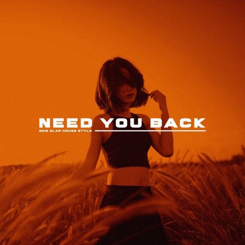 Buy EDM Ghost Production track - Need You Back
