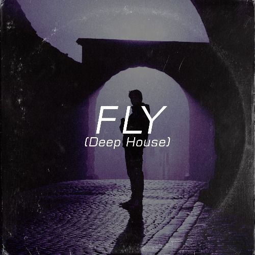 Buy EDM Ghost Production track - Fly