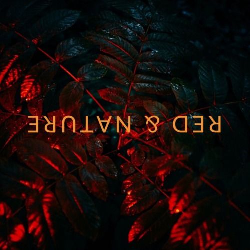 Buy EDM Ghost Production track - Red & Nature