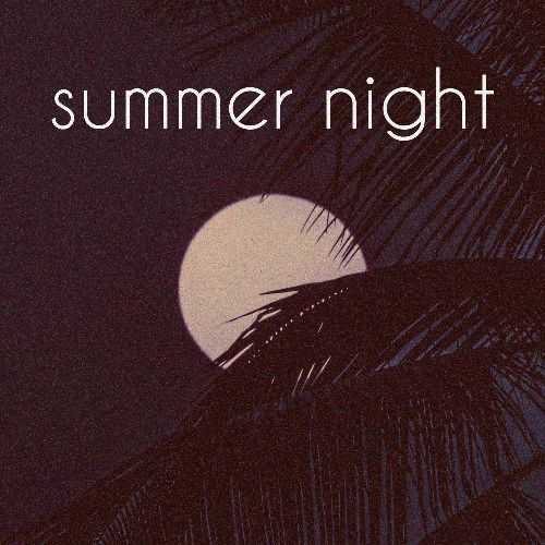 Buy EDM Ghost Production track - Summer Night