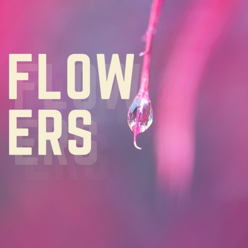 Buy EDM Ghost Production track - Flowers