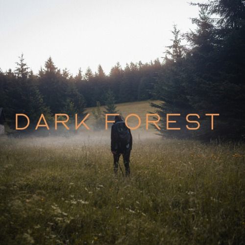 Buy EDM Ghost Production track - Dark Forest