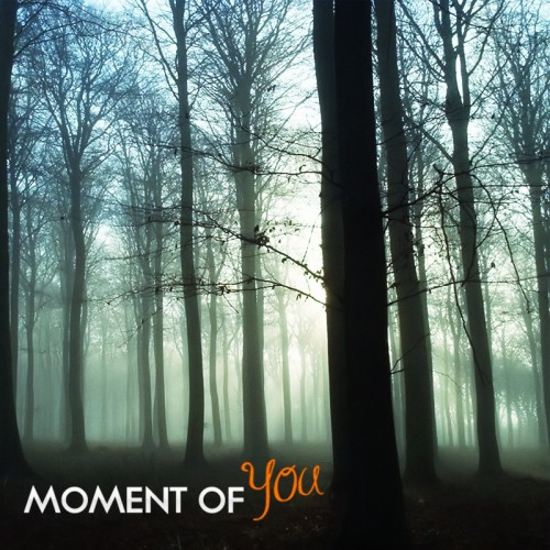 Buy EDM Ghost Production track - Moment Of You