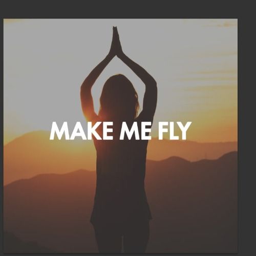 Buy EDM Ghost Production track - Make Me Fly