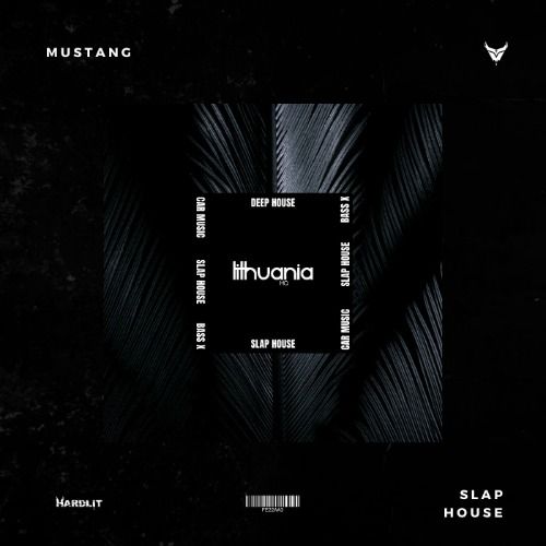 Buy EDM Ghost Production track - Mustang