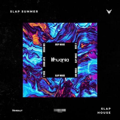 Buy EDM Ghost Production track - Slap Summer